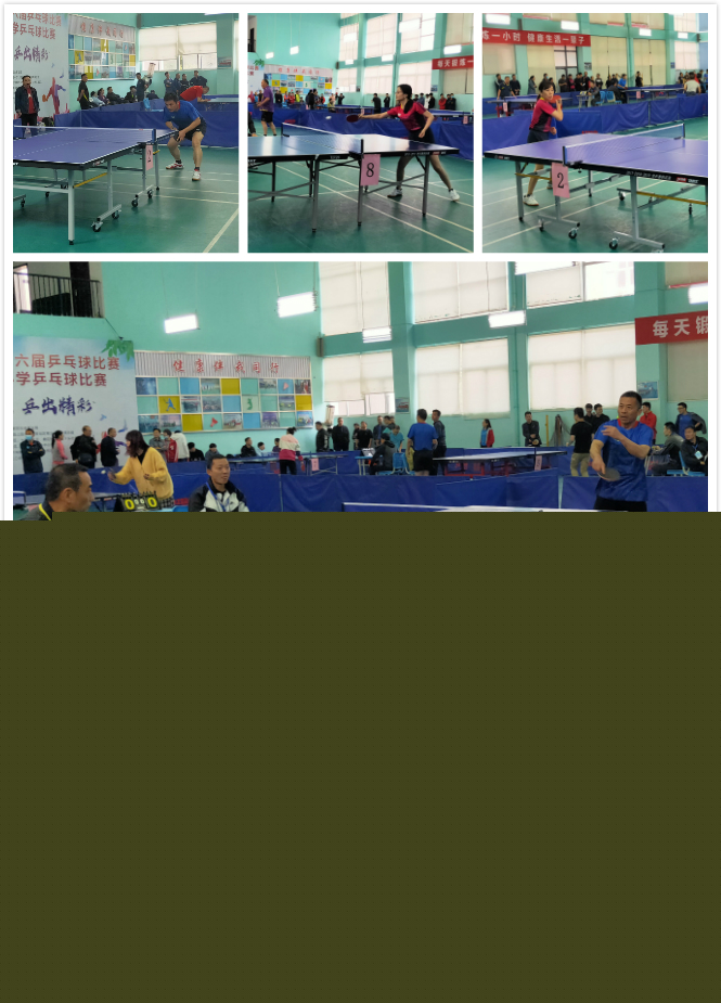 竞技水平的
