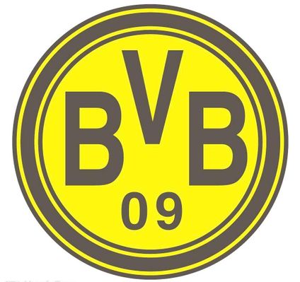 他的团队也 他的团队也