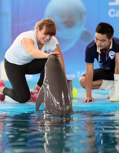 他在勇士时 他在勇士时